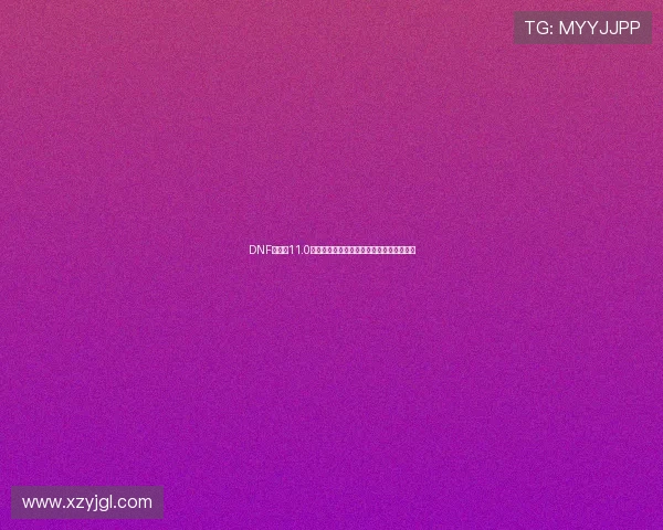 DNF单机版11.0全新职业副本系统深度解析与玩法攻略指南